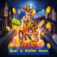 qual o bicho mais velho da loteria dos sonhos